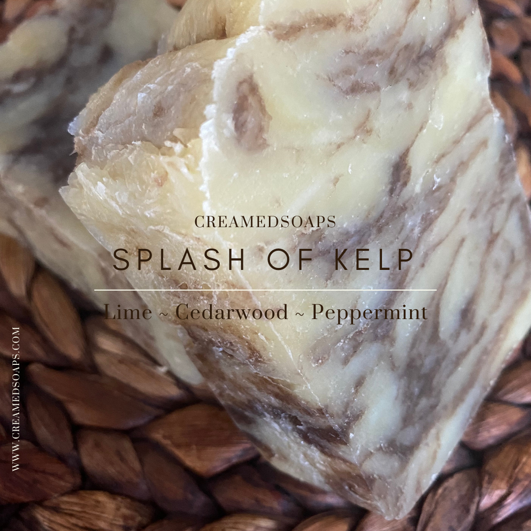 Sea Kelp - Lime - Cedarwood - Peppermint Soap